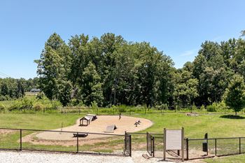 Pet agility park